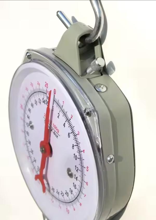 BALANZA COCINA 25KG COLGANTE CAMRY